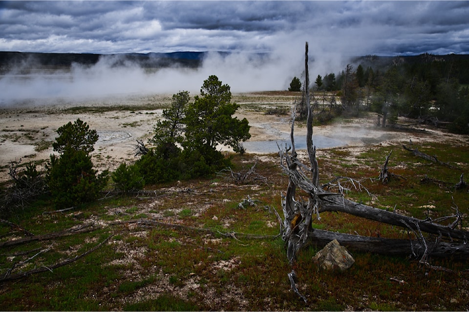 John Enman and his photographer colleague, Jo, visited Yellowstone Park on July 12 and captured this 'steaming' photo.