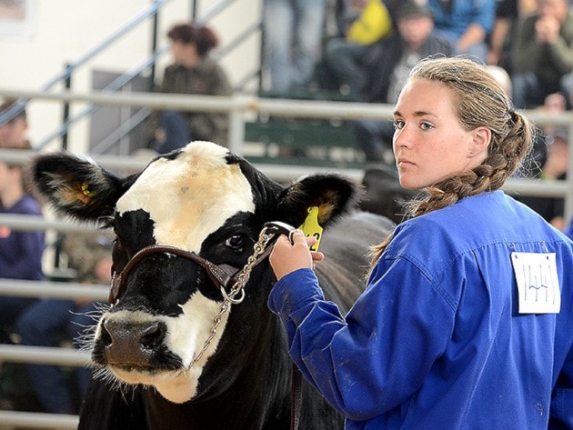 39809clearwaterFallFair3725HannaWadleggerSteer