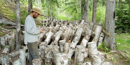 59429clearwaterNonTimber