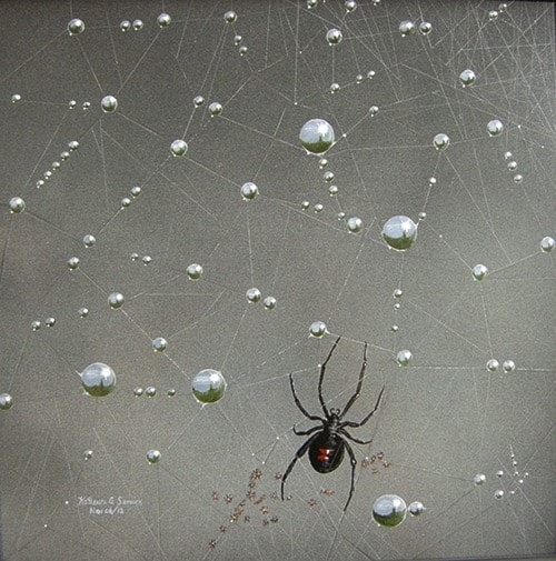 Dew drops on Widow's Web