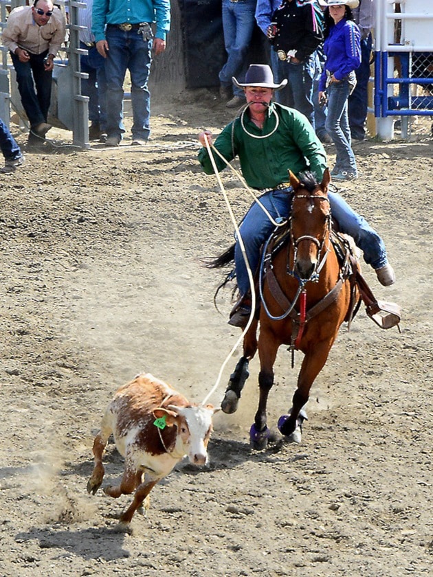 97652clearwaterRodeo6126CalfDustin