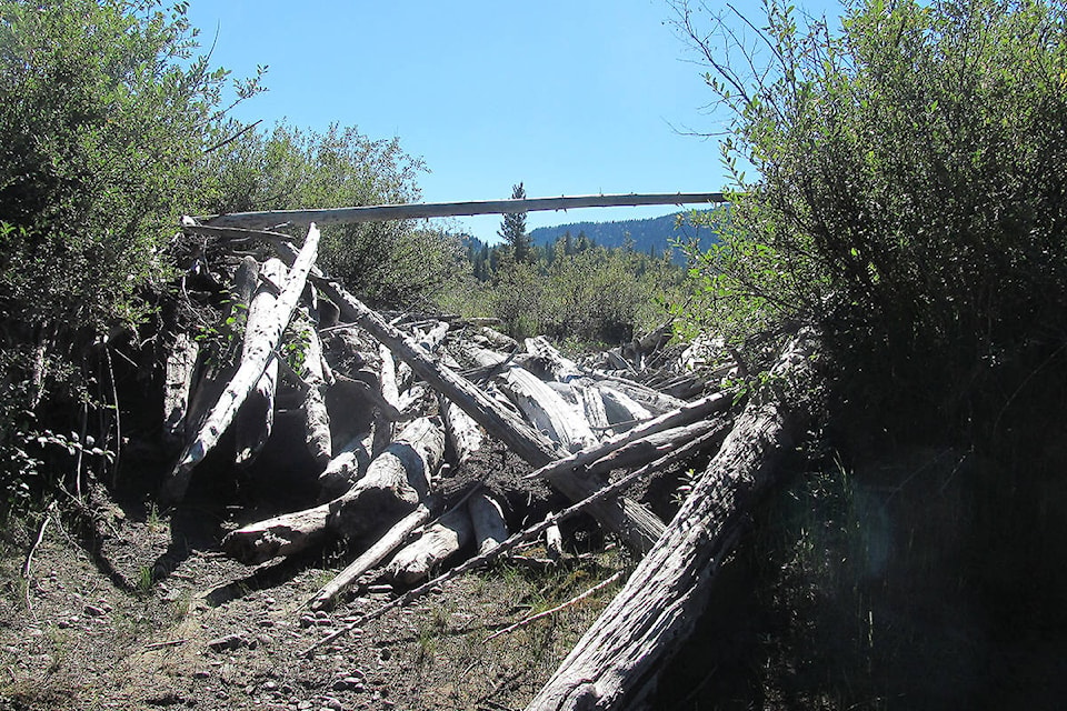 11599572_web1_180329-NTC-Horsehoe3driftwood