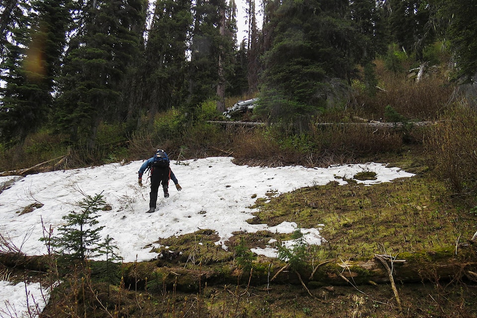 18739775_web1_191002-SAA-Wells-Gray-Plane-crash