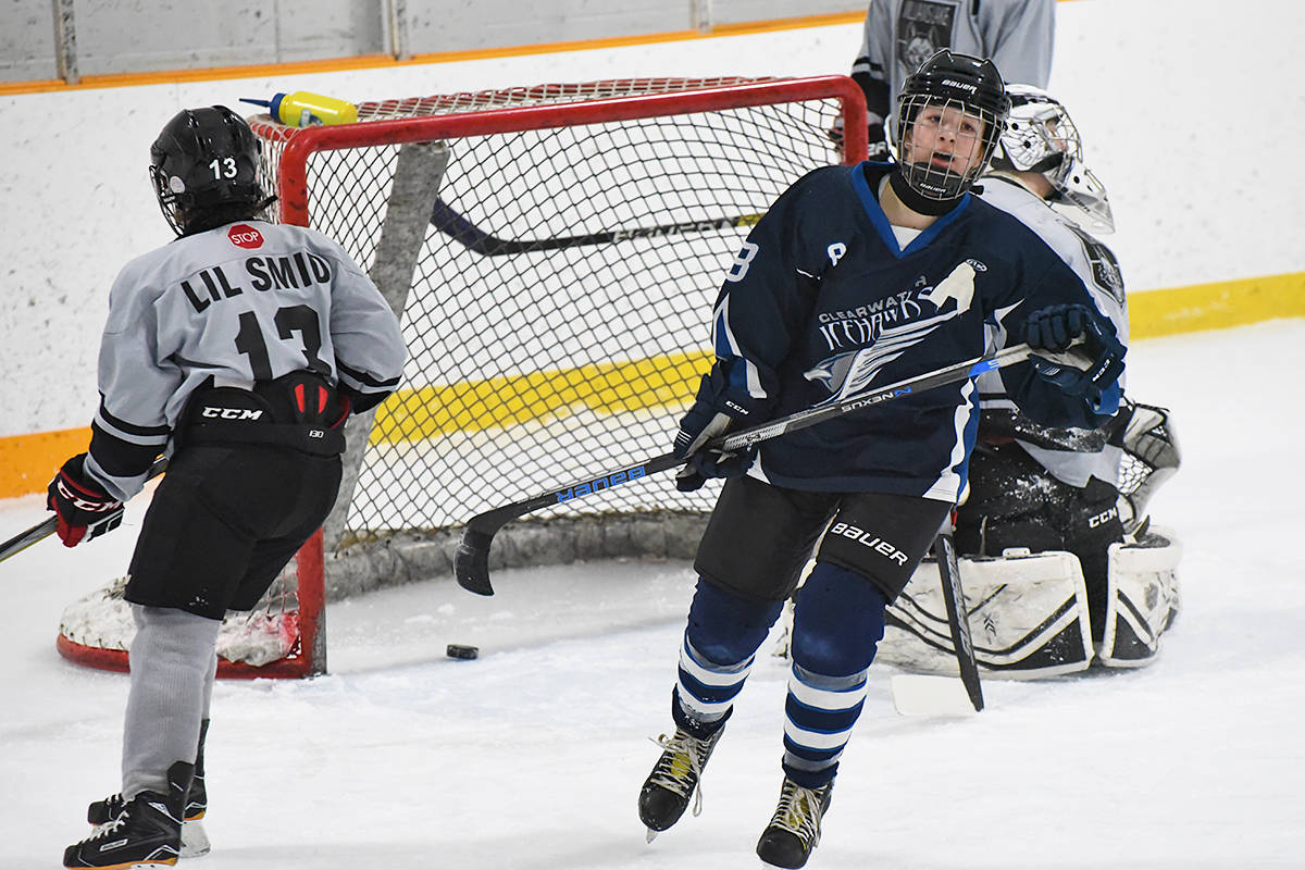 20116750_web1_icehawks1
