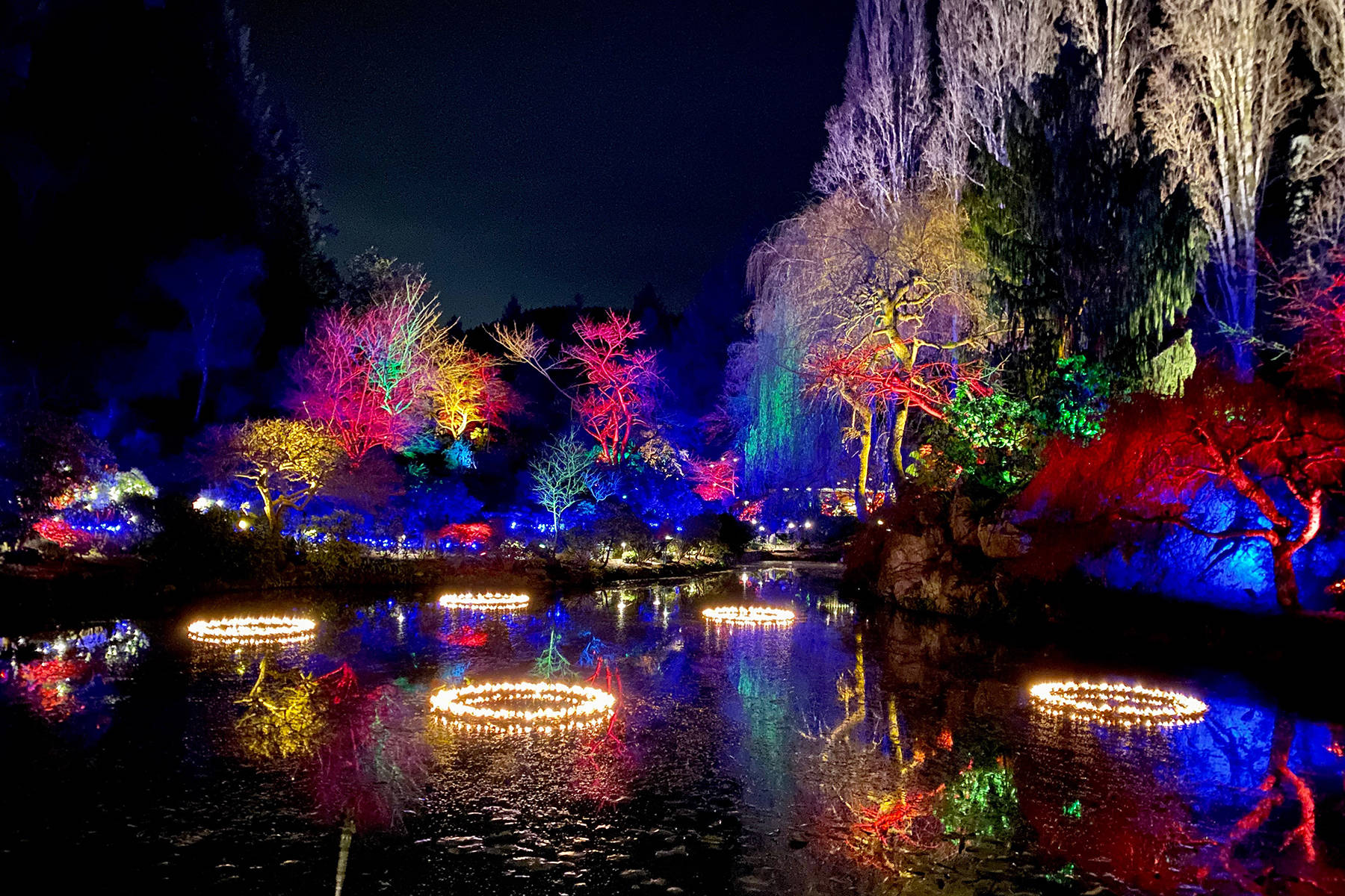Butchart Gardens Fireworks Fasci Garden