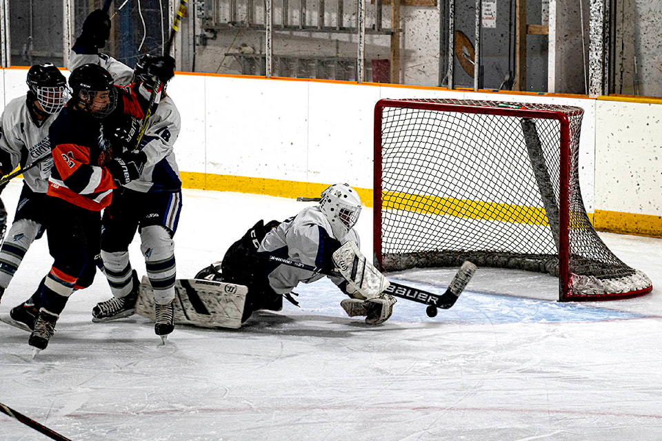 23288140_web1_201112-NTC-Hockey-IceHawks_2