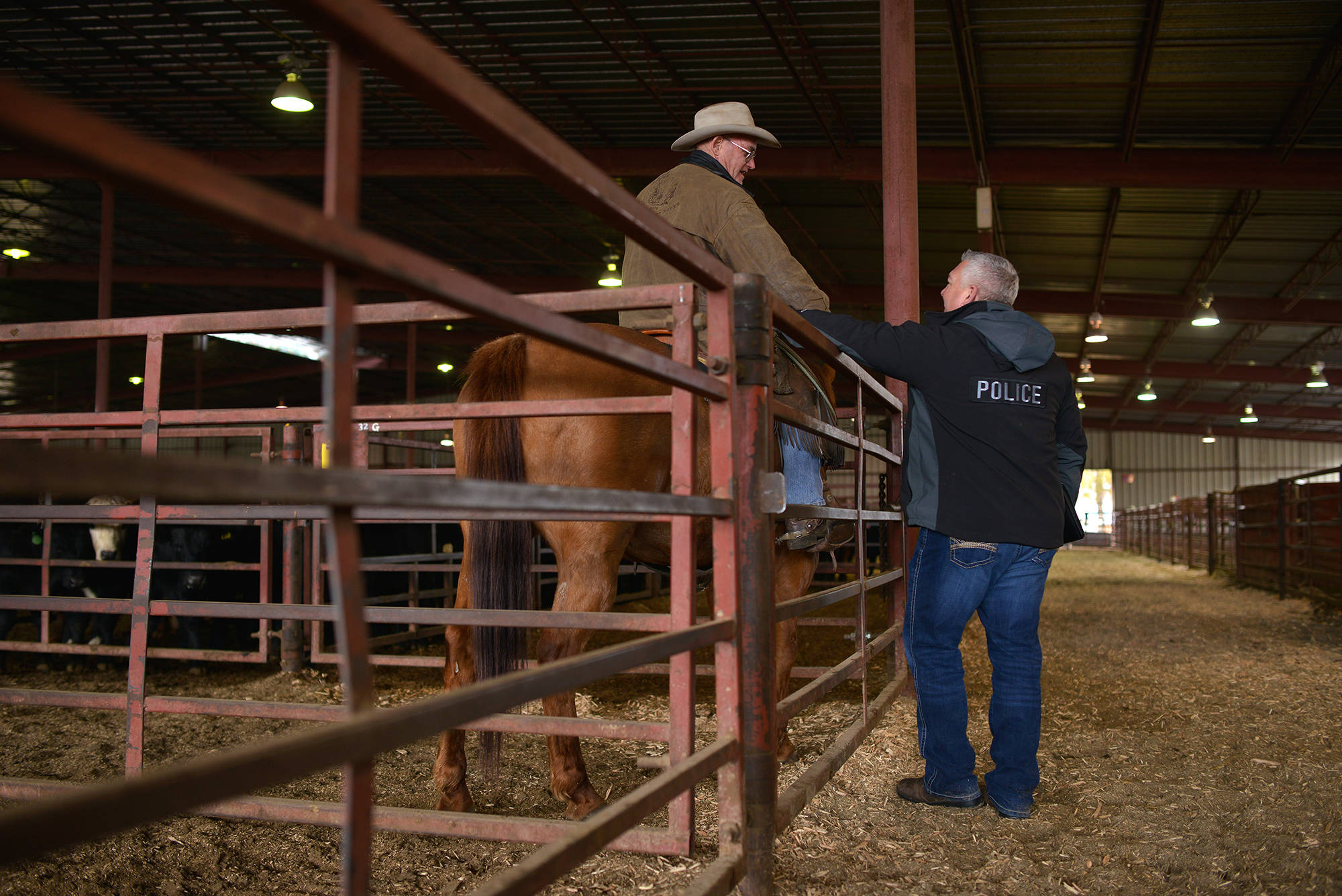 RCMP Cpl. Cory Lepine pictured at BC Livestock Producers Co. in Kamloops, Nov. 16. (Phil McLachlan - Black Press Media)Every Tuesday, Cory Lepine is found at BC Livestock Producers Co. in Kamloops, where cattle are being auctioned. There, he meets with farmers, industry leaders and brand inspectors, and oversees auctions. (Phil McLachlan - Black Press Media)