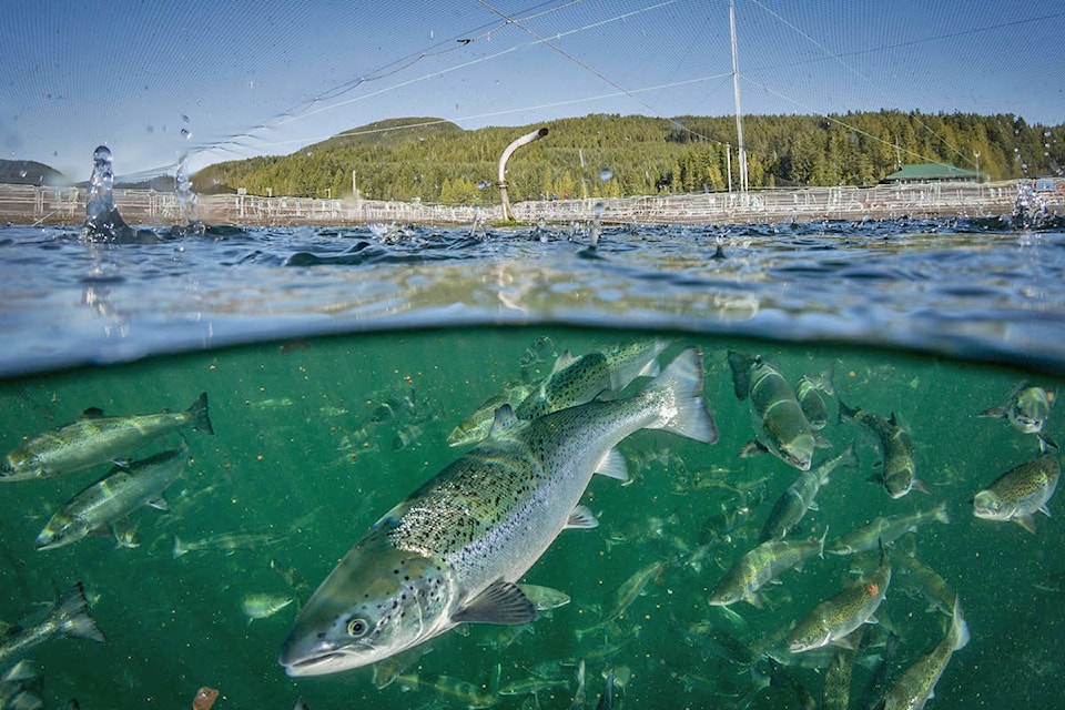 24061306_web1_PRINT.fish.farm.BP