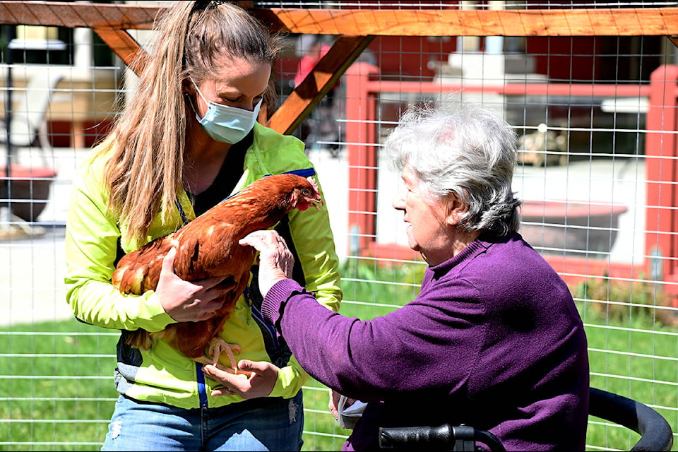 Nicole Weber, recreation coordinator for Forest View Place, holds one of the new chickens for resident Irma Holstein. (Stephanie Hagenaars photo)