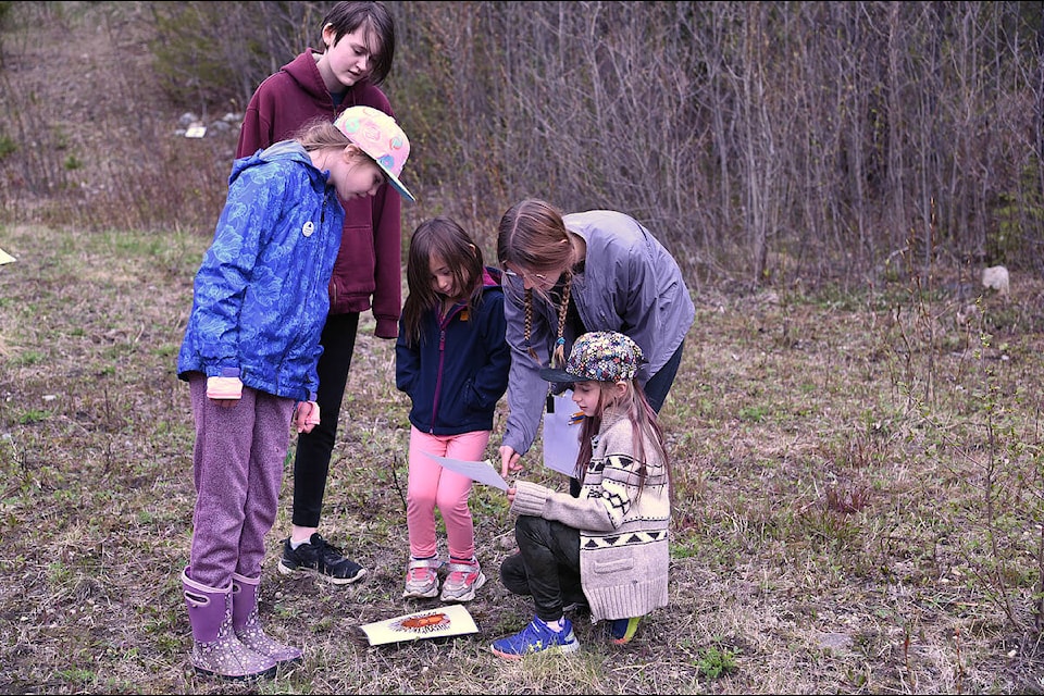 Clearwater Girl Guides Pathfinders Caitlyn Masse and Cadence Cisna lead Audrey Ayers, Airadessa Aviugana and Reese Poisson in an exercise tracking animal prints. Arrows made of sticks gave the direction of the animal, while a laminated sheet gave the type of animal on one side and a picture of the tracks on the other. As the girls made their way around the trails, they picked up clues to answer a question. (Stephanie Hagenaars/Clearwater Times)