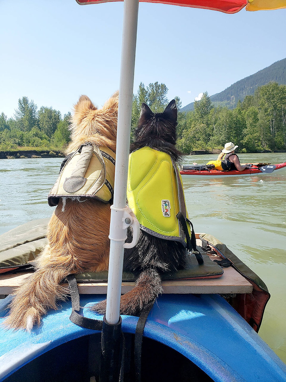 30028050_web1_220811-NTS-KayakingNorthThompson-Kayak_2