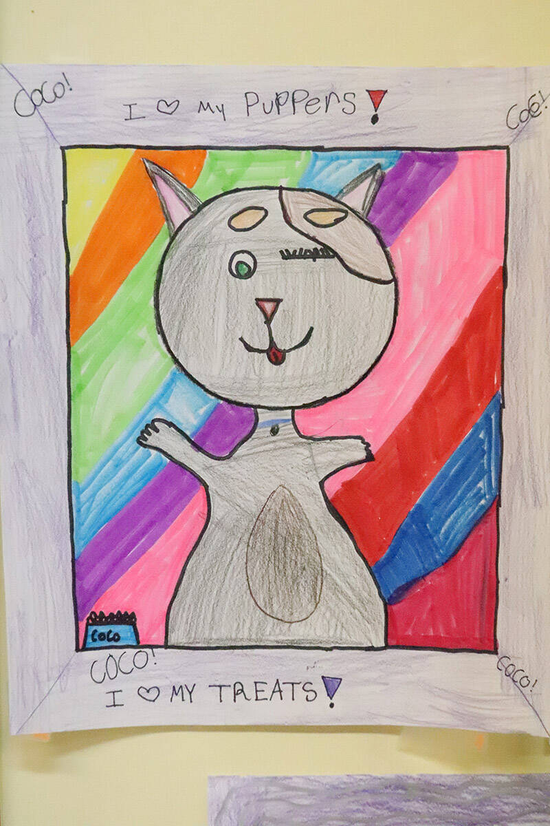 31918352_web1_230223-NTC-15rescues-fundraiser-studentart_1