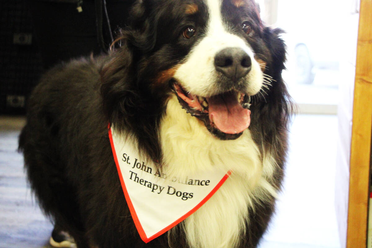 32299208_web1_230406-OMH-Theraphy-Dogs_2