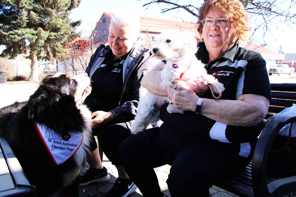 32299208_web1_230406-OMH-Theraphy-Dogs_4