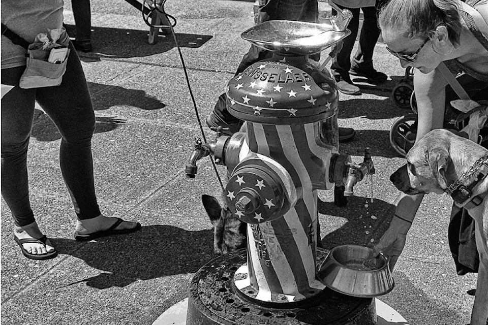 33384942_web1_RSZ-July-27-Drinking-at-the-festival