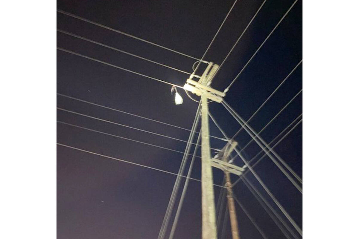 33464676_web1_230817-OMH-Power-Line-Trees-_1