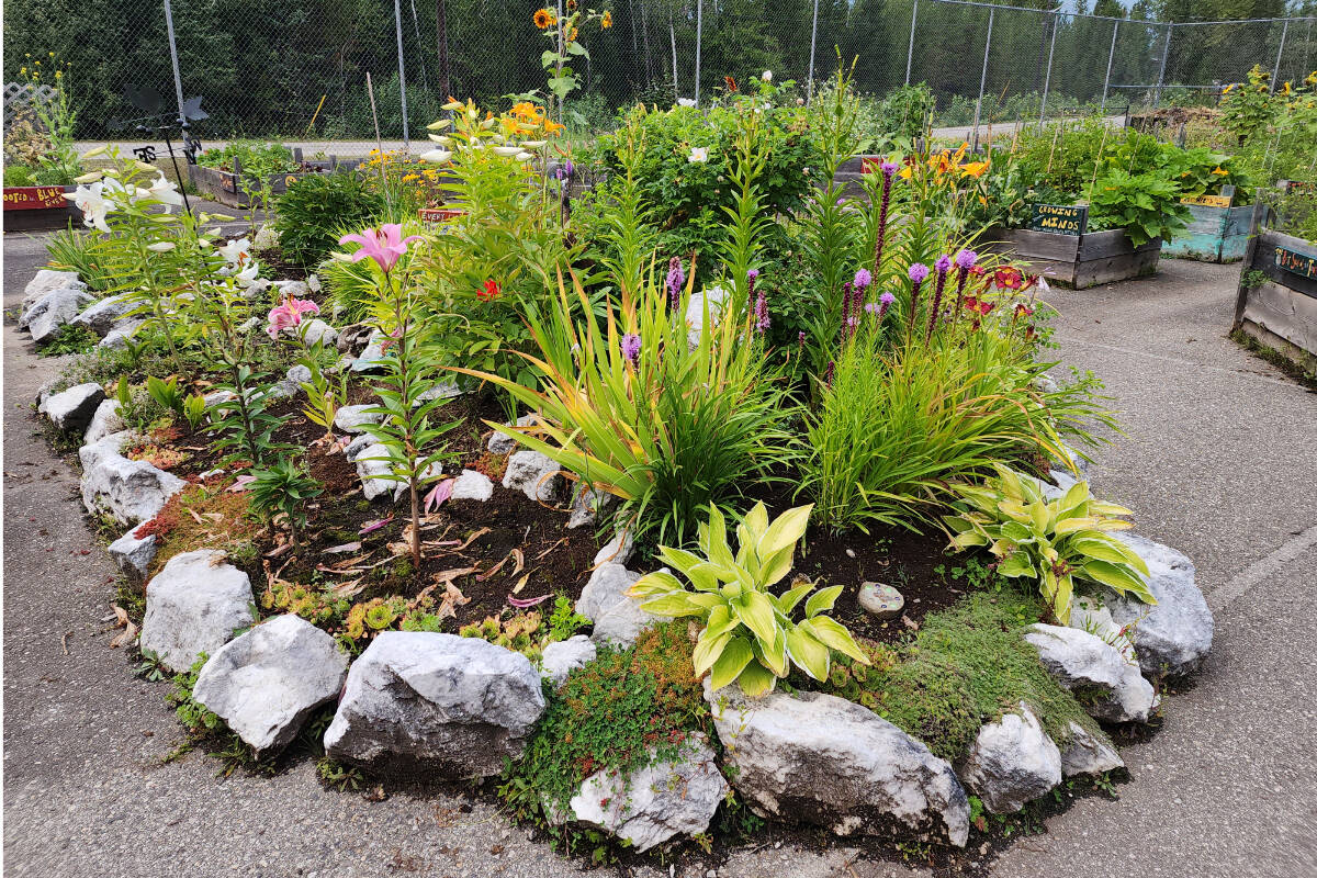 33656653_web1_RSZ-BR-Com-garden-2-20230817_130936