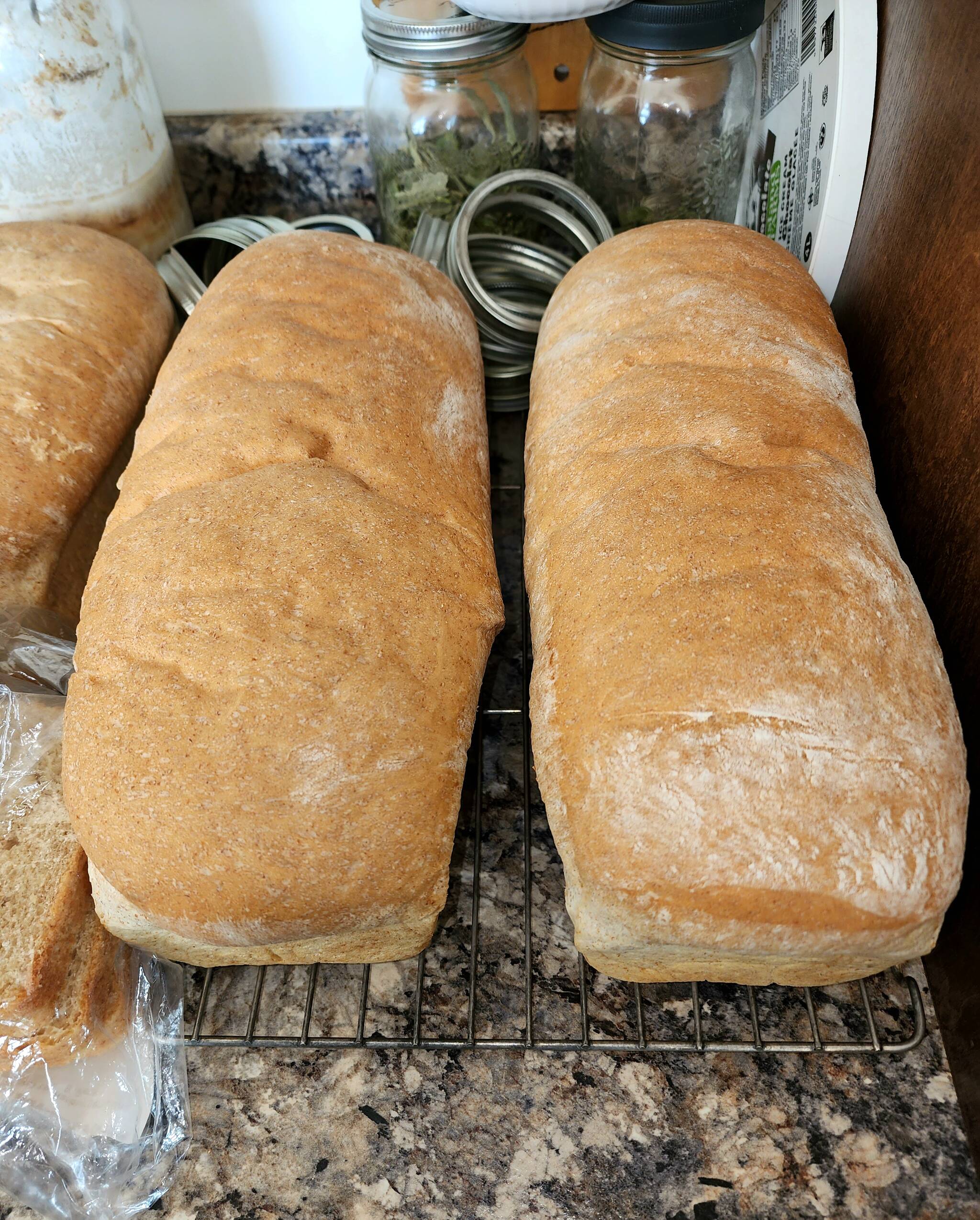 33672934_web1_Homemade-bread-20230817_161734