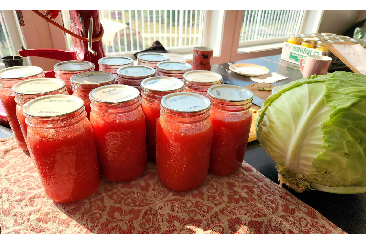 33672934_web1_RSZ-Jars-of-canned-tomatoes-20230817_161613
