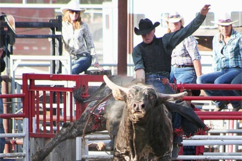 Sept. 2011 From our archives: A cowboy hangs on as his bull gets airborne during rodeo action at the North Thompson Fall Fair and Rodeo in Barriere during the Labor Day weekend. Look for more about the fair in next weeks' Times and Barriere ronaldomanosa. 
