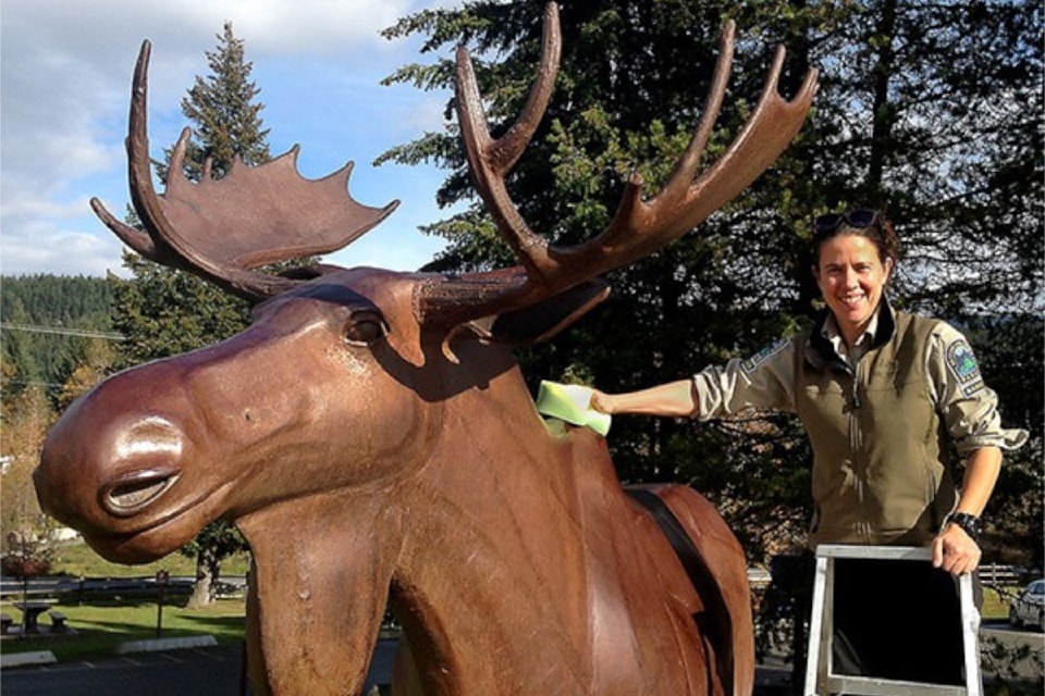 The Jerry the Moose statue is a popular photo stop at the Wells Gray Visitor Info Centre in Clearwater. Senior park ranger Heather Steere gives Jerry the Moose a wash in 2016.

