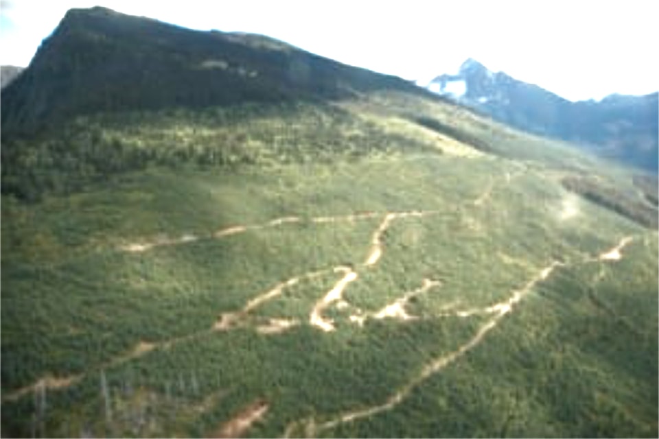 The Blue River Project owned by Capacitor Metals in the area known as Upper Fir just outside of Blue River, B.C. is the site of Tantalum and Niobium deposits under exploration for mining development. 