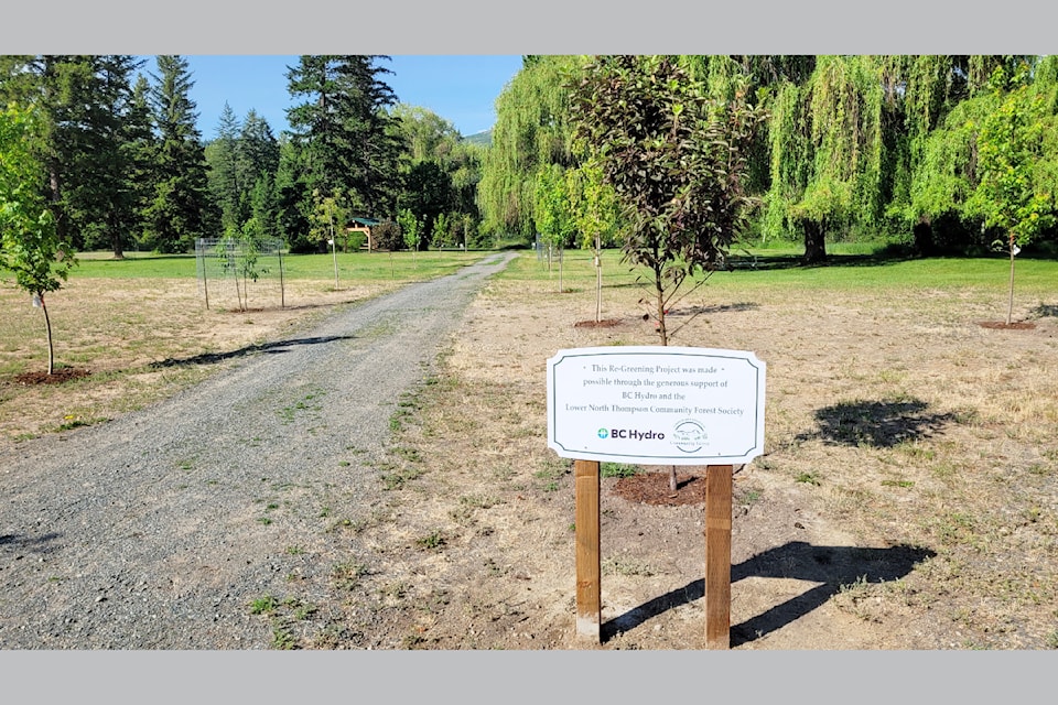 rsz-dob-tree-planting-20250604_090759