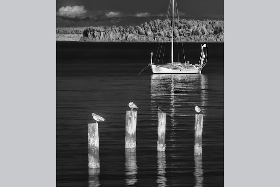 rsz-enman-seagulls-and-boat