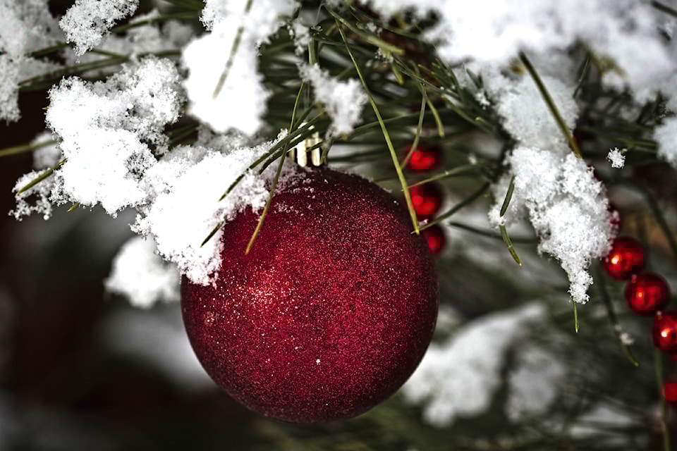 With first snow on Monday, Dec. 16 John Enman took advantage of the changing garden right outside his door for some unique photos.