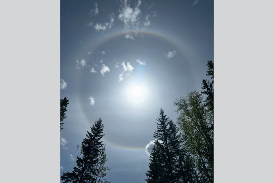 rsz-feature-photo-sundog-lisa-marie-001