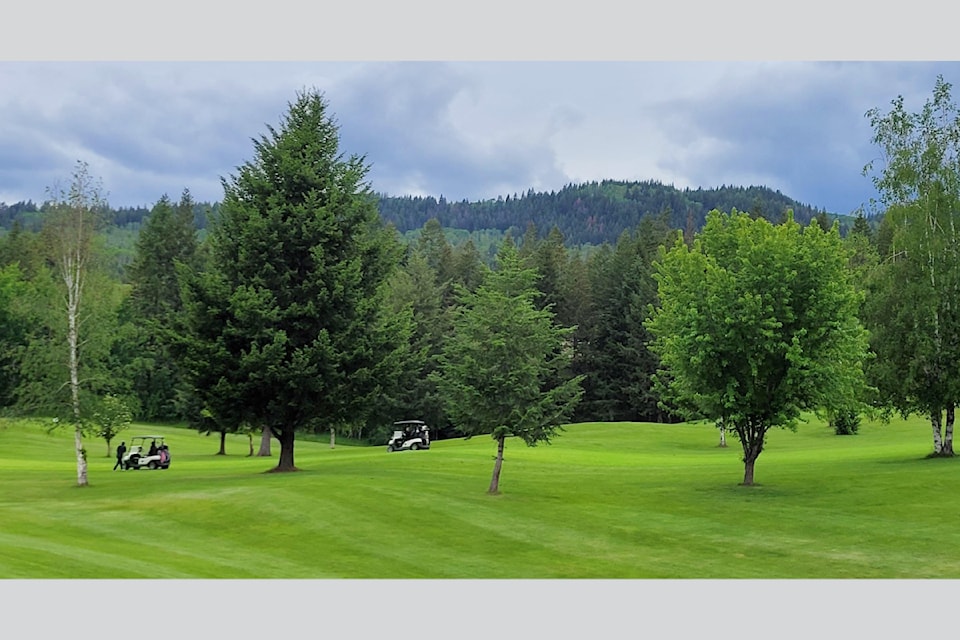 rsz-golf-w6