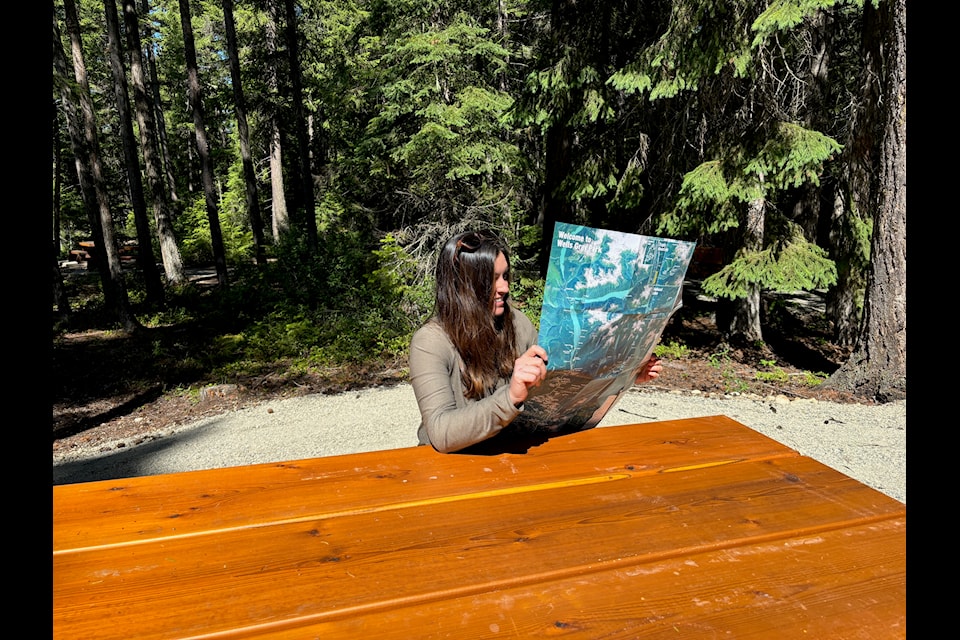 Helmcken Falls trail head is once again open to the public as of June 26 with full access to the new viewing platform scheduled for July 26 when tour buses will be permitted into the area. 
Photo / Tourism Wells Gray 