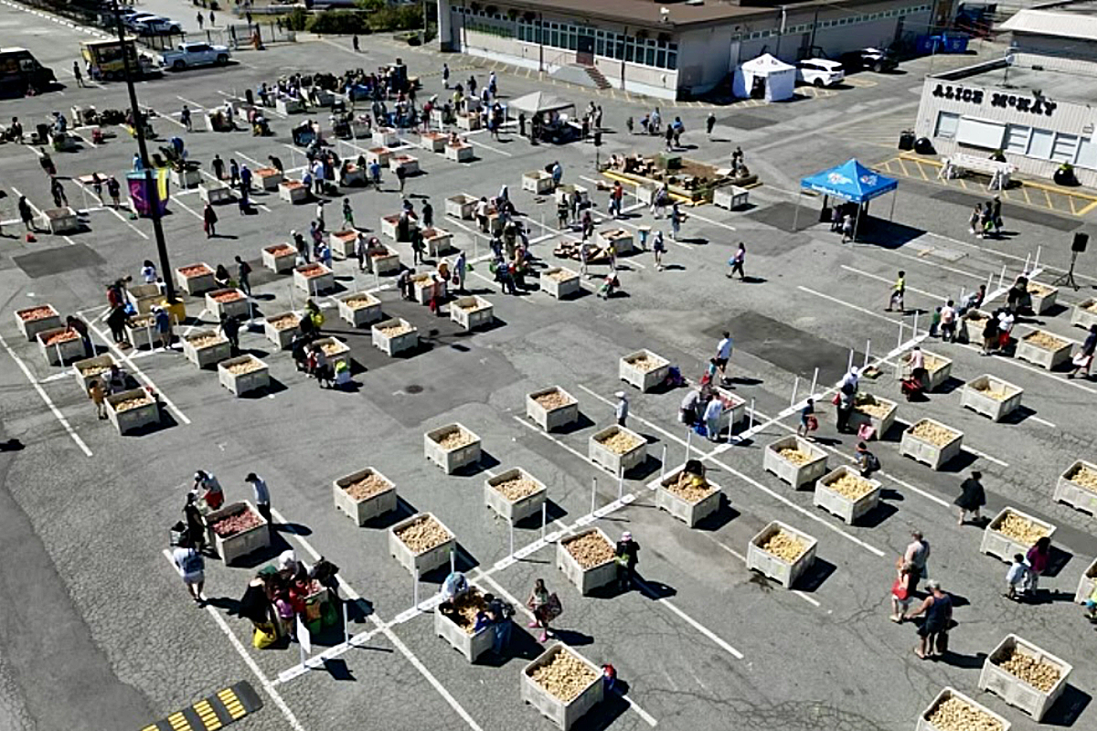 Ugly Potato Day coming to Cloverdale