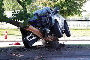 Truck in tree in Cloverdale