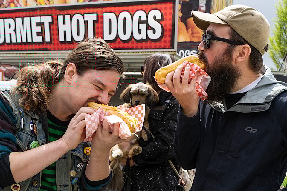 street-dogs