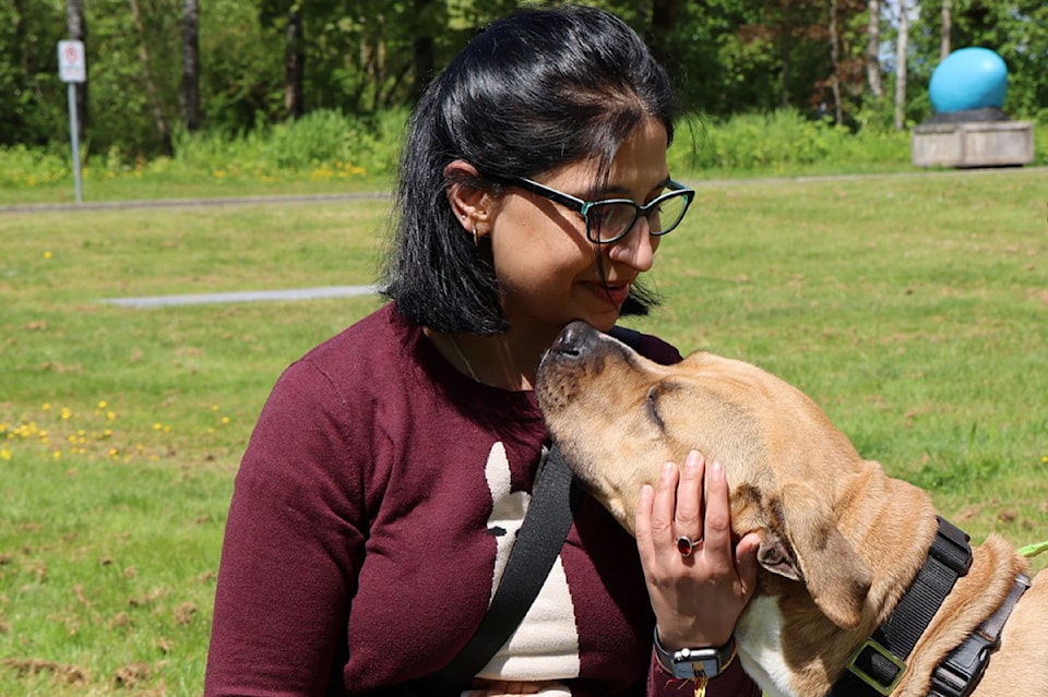 animal-adoption-dogs-and-visitor