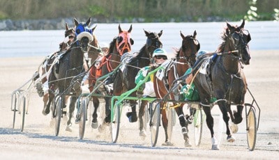 36717cloverdalewHarnessRacing2-BJ-Sept24