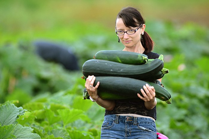 A glean sweep at God's Little Acre