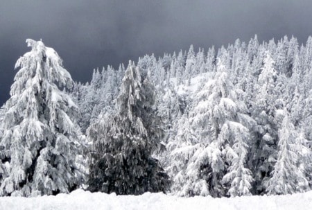Snow scene. 

File photo