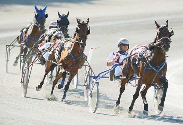 51366cloverdalewHarnessRacing-BJ-Aug11