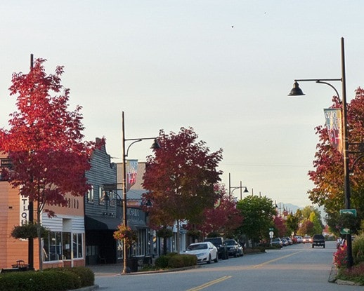 72828cloverdaleww176SunsetTrees