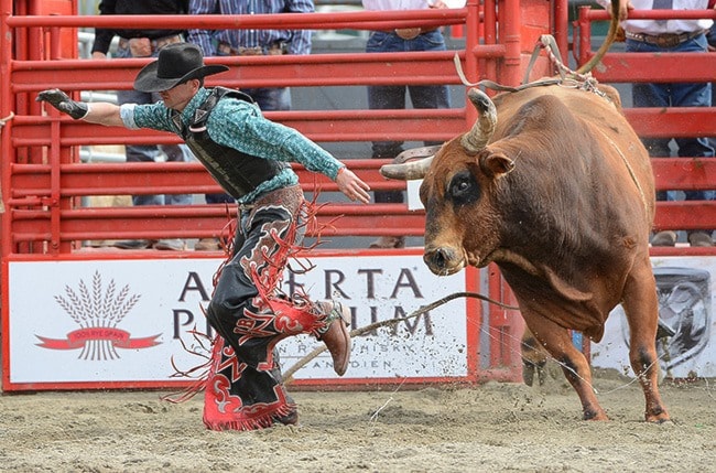 78446cloverdalewRodeo5-BJ-May21