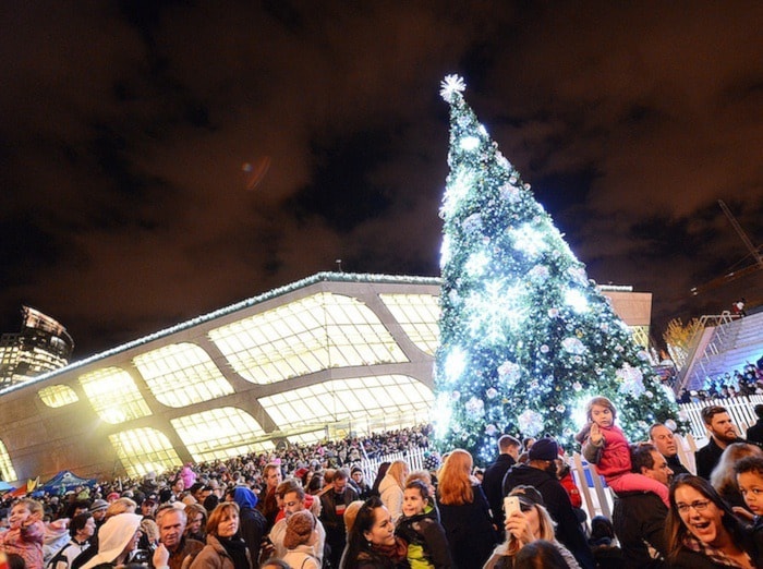 93060surreySurreytreelighting2014