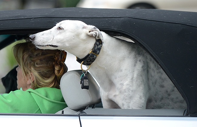 Photo: Follow your nose