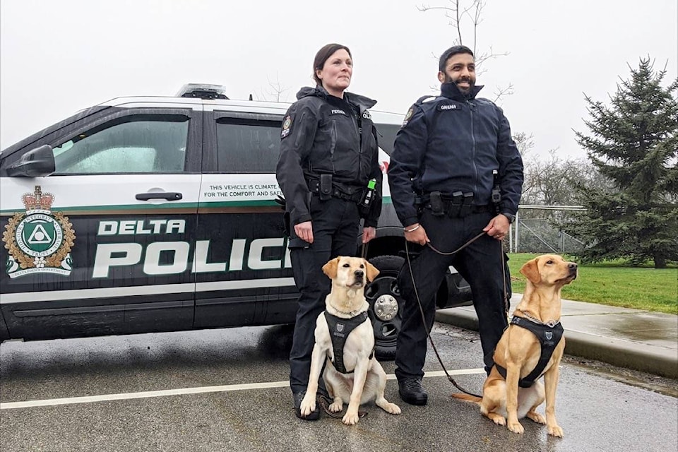 20089621_web1_200109-NDR-M-Delta-police-TSDU-members-and-dogs-EDIT-CROP