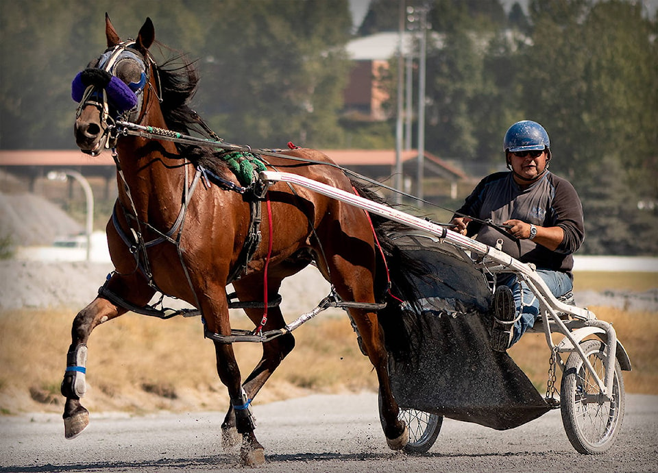 21949570_web1_200702-CLR-HarnessRacingToReturn-RESIZED_1