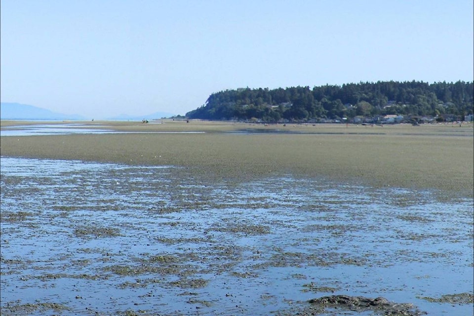 22570989_web1_180515-NDR-M-Tsawwassen-mud-flats