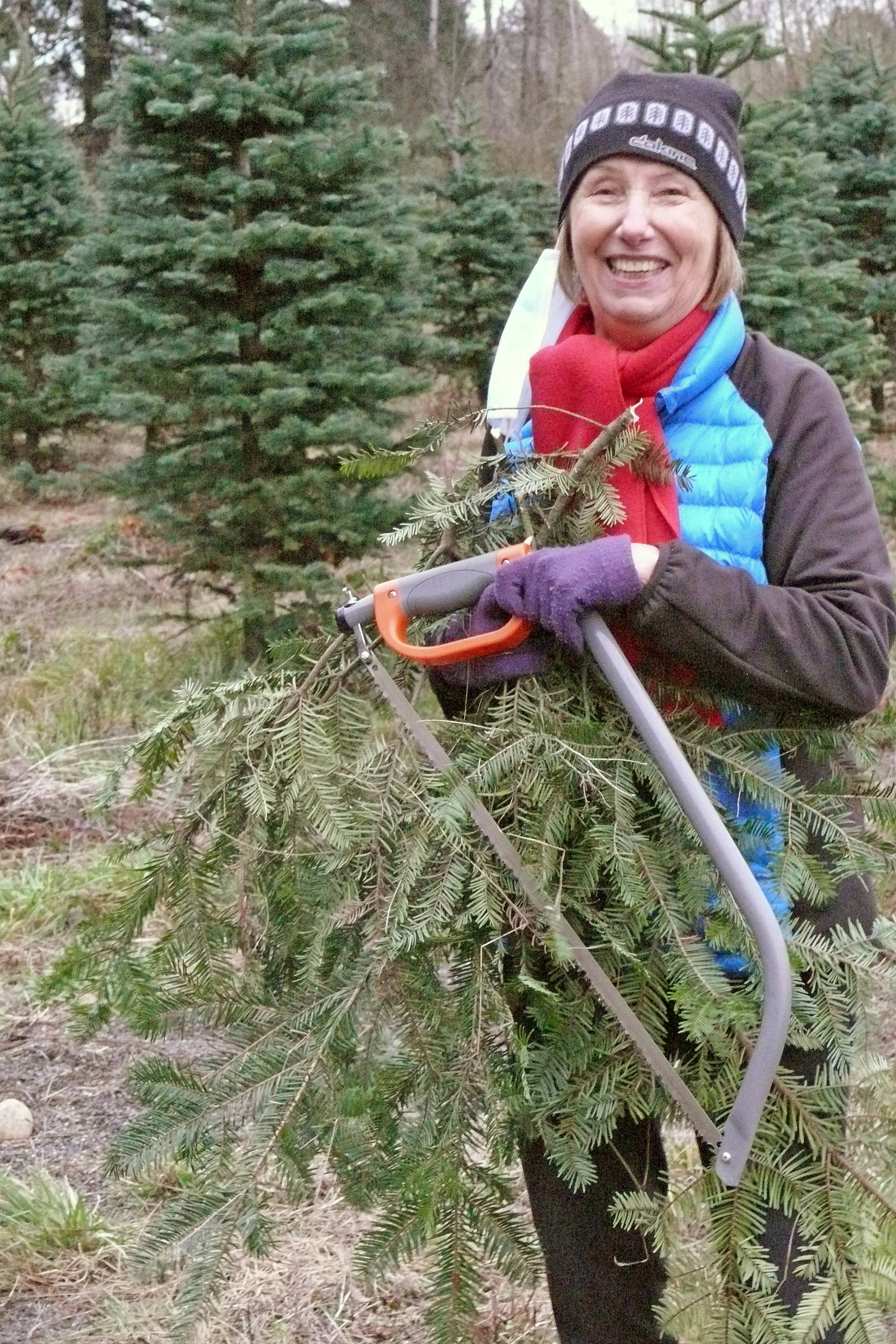 23500249_web1_201130-LAT-early-start-to-tree-season-_1