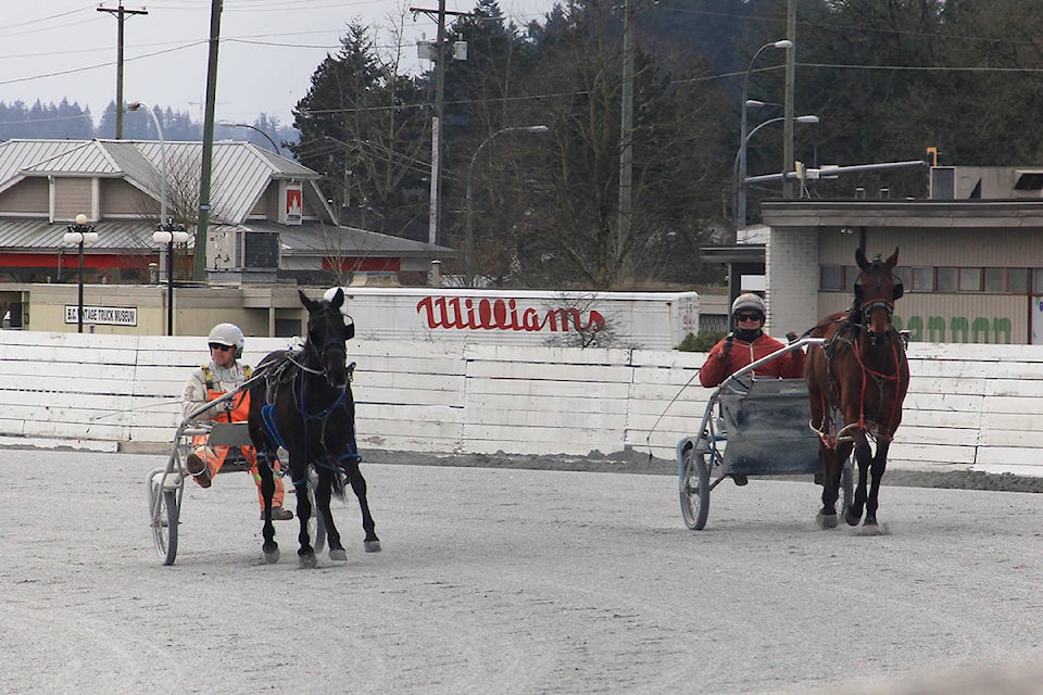 24467411_web1_210311-CLR-HarnessRacingToReturn-MJ_1