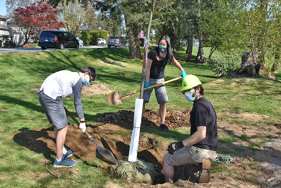 24932376_web1_210421-MRN-NC-treeplanting-pics_3